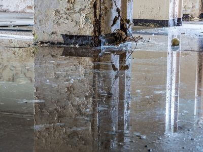 About FreshNest Solutions - water damage restoration experts in Street Plano